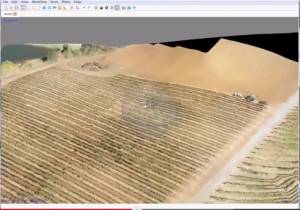 vineyards_computer